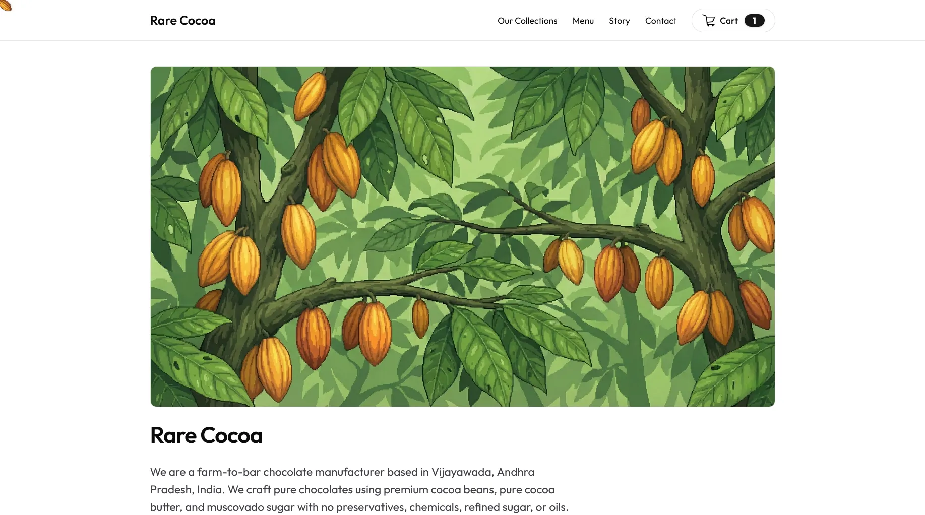 Rare Cocoa commerce experience